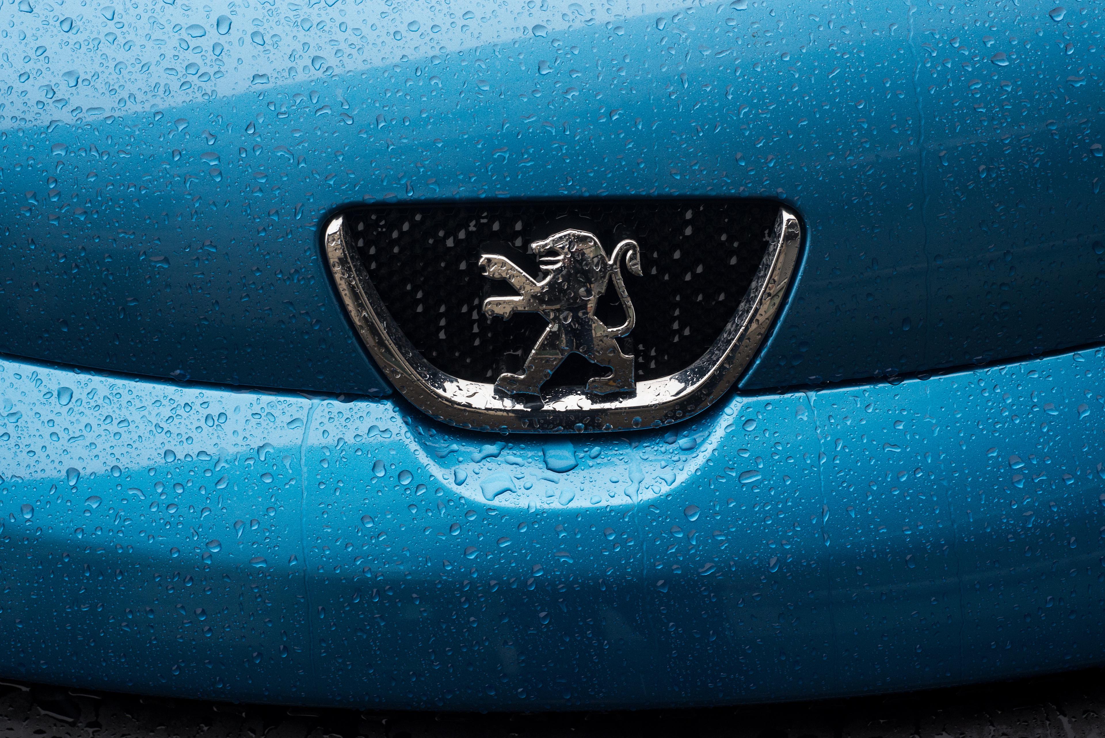 Peugeot badge