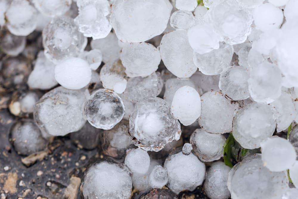 Hail close up